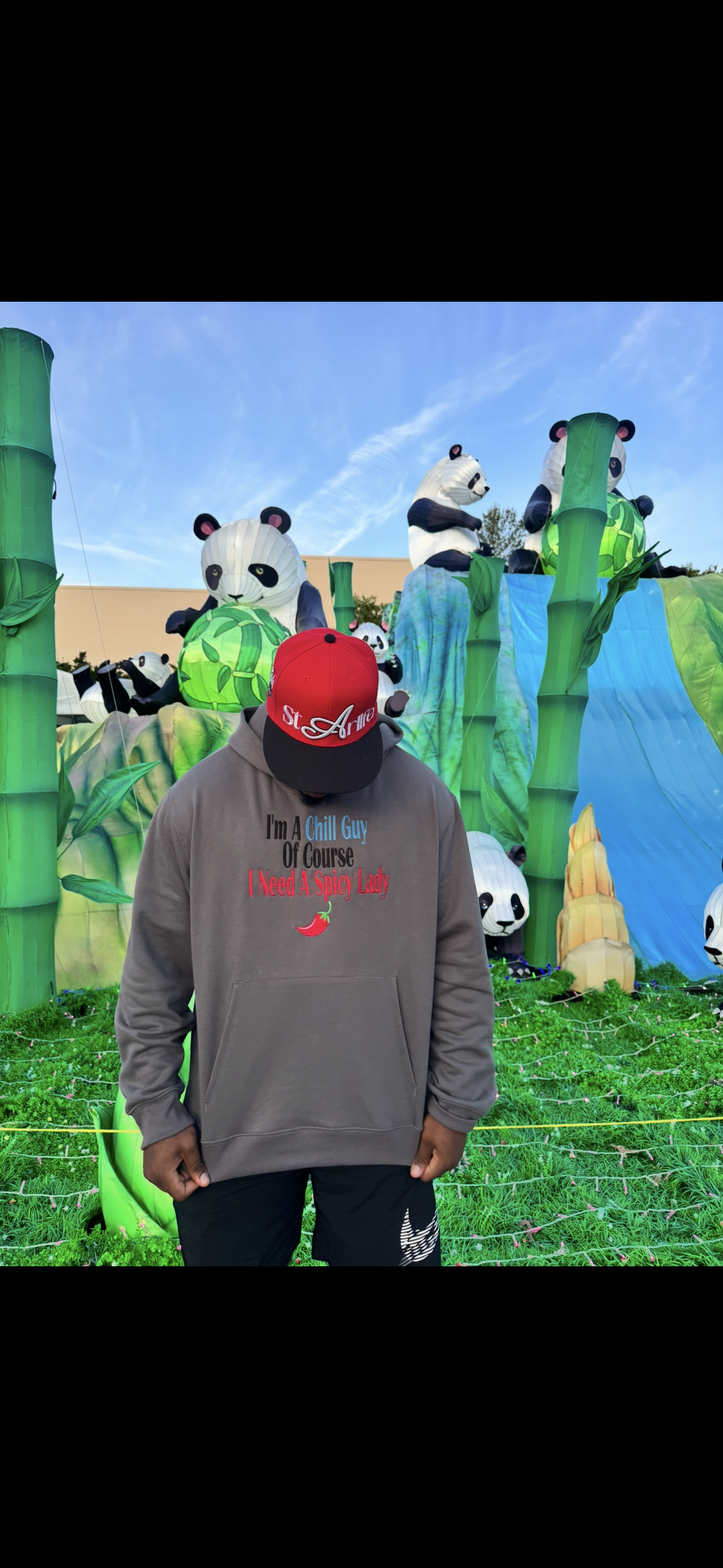 "Chill Guy Needs Spicy Lady Men's Asphalt Heavyweight Pullover Hoodie – Cozy, Bold & Stylish Sweatshirt"